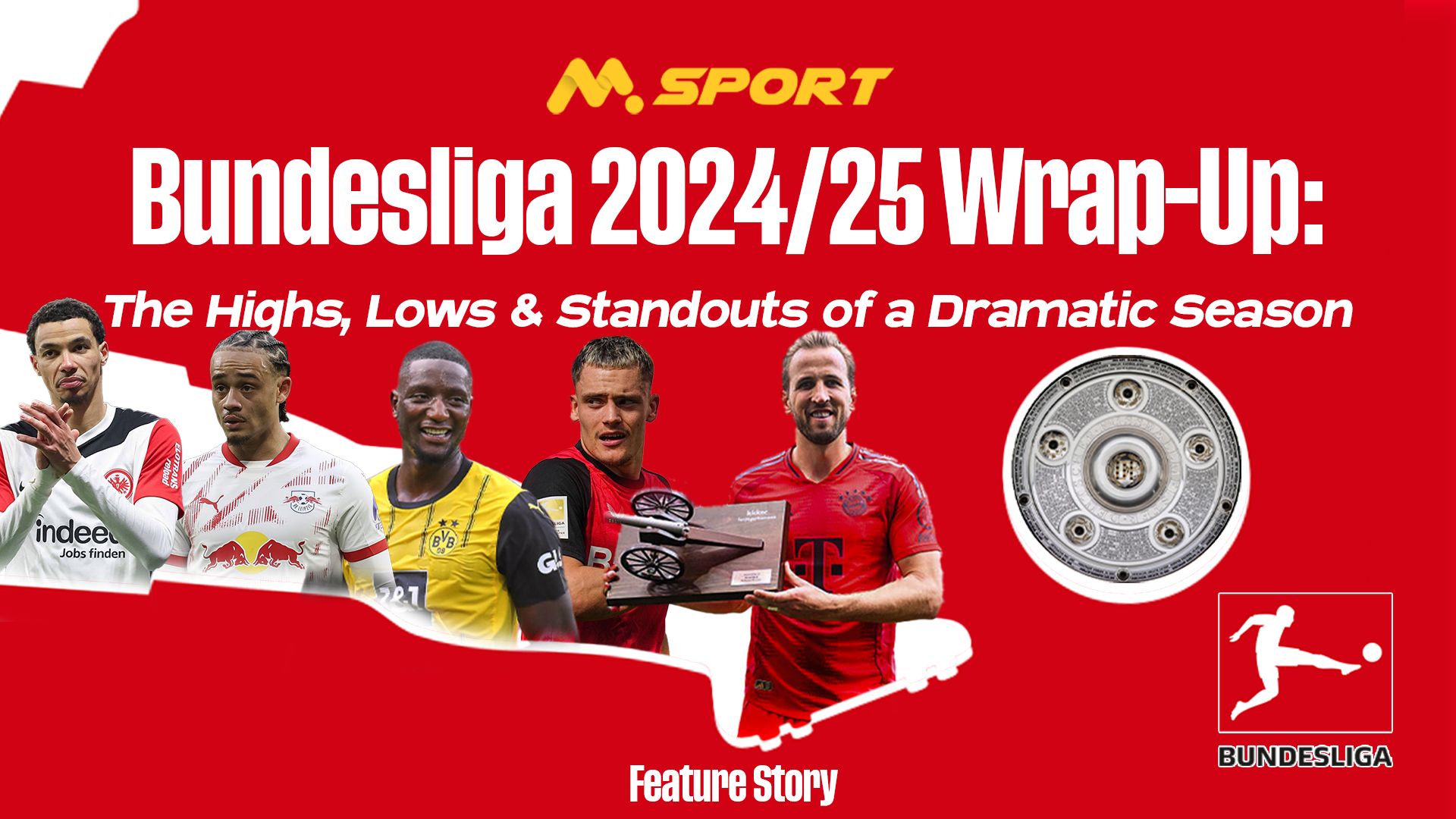 Bundesliga 2024/25 Wrap-Up : The Highs, Lows & Standout of a Dramatic Season